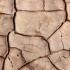 WTF Causes Dry Skin? How Do You Stop It?